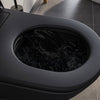 PREMIUM 1102 black matt shower toilet