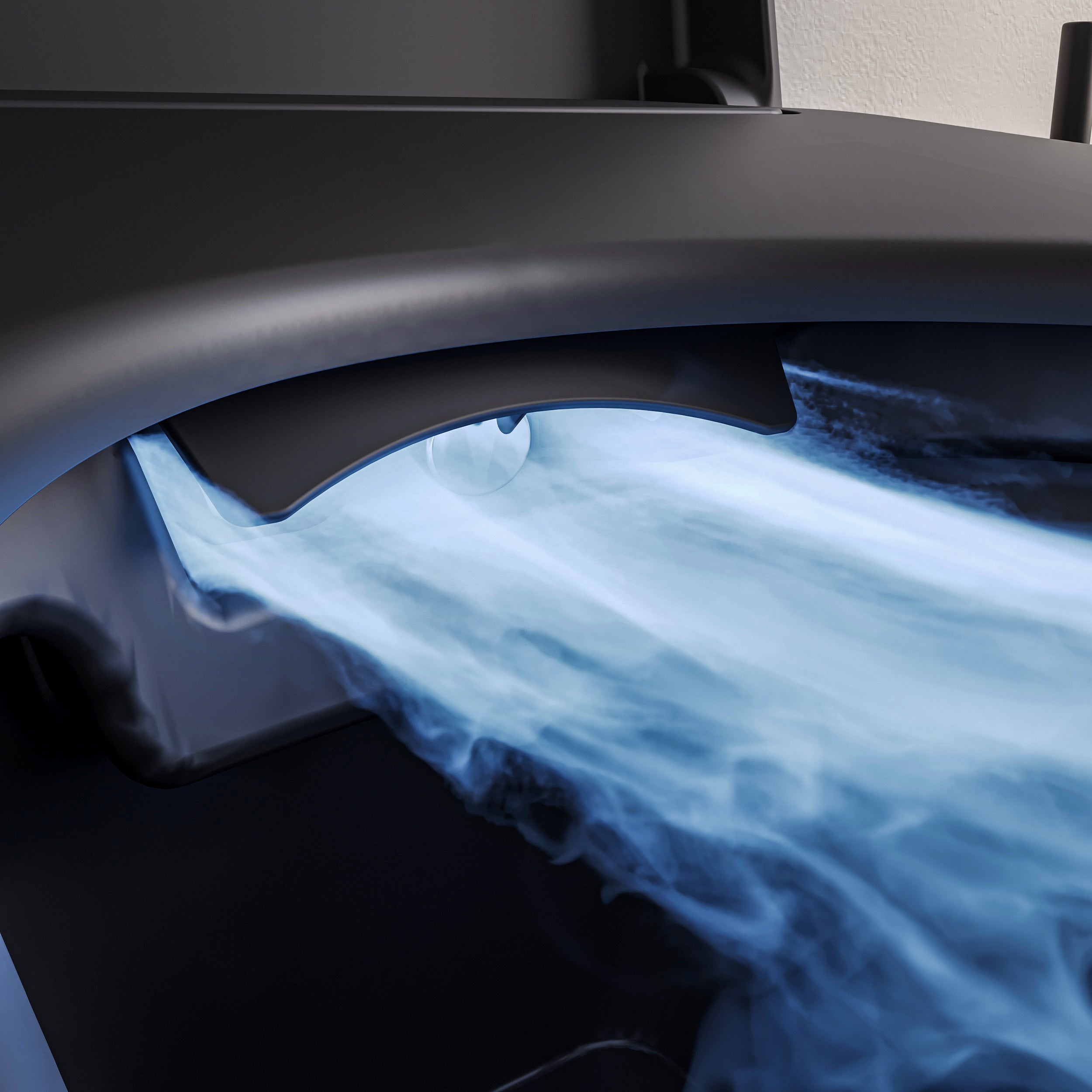 PREMIUM 1102 black matt shower toilet