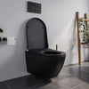 PREMIUM 1102 black matt shower toilet