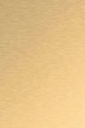 Brushed Gold