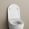 Softclose flat toilet lid