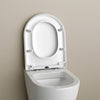 WC seat Soft-Close U1002