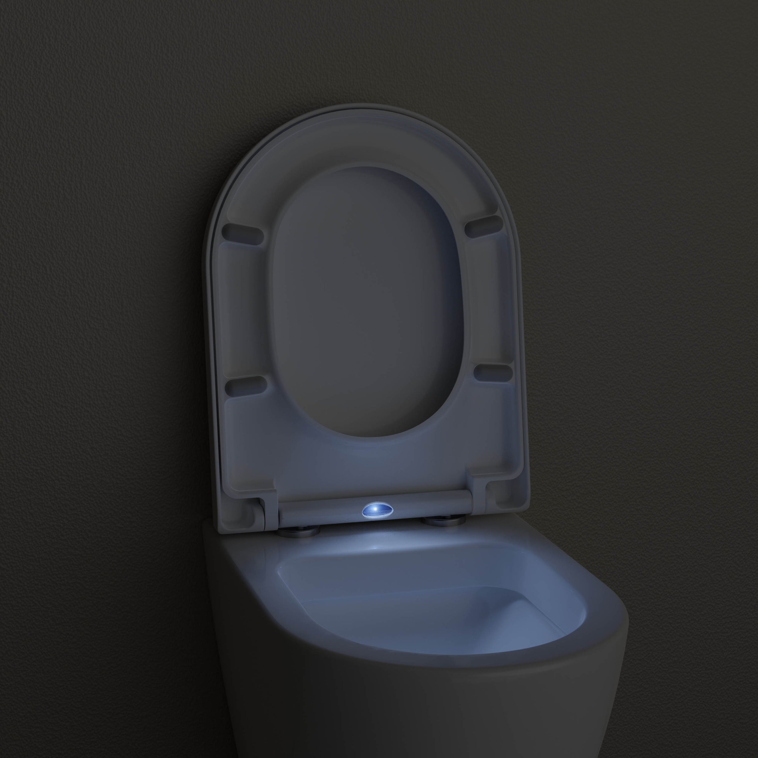 WC seat Soft-Close U1002