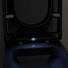 Soft-close WC seat U1002