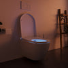 Shower toilet complete set Basic 1102 with Geberit Duofix pre-wall element