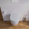 Wall-hung WC Nano NT2038