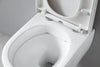 Complete WC package 35: NT2039 White with Soft-Close seat