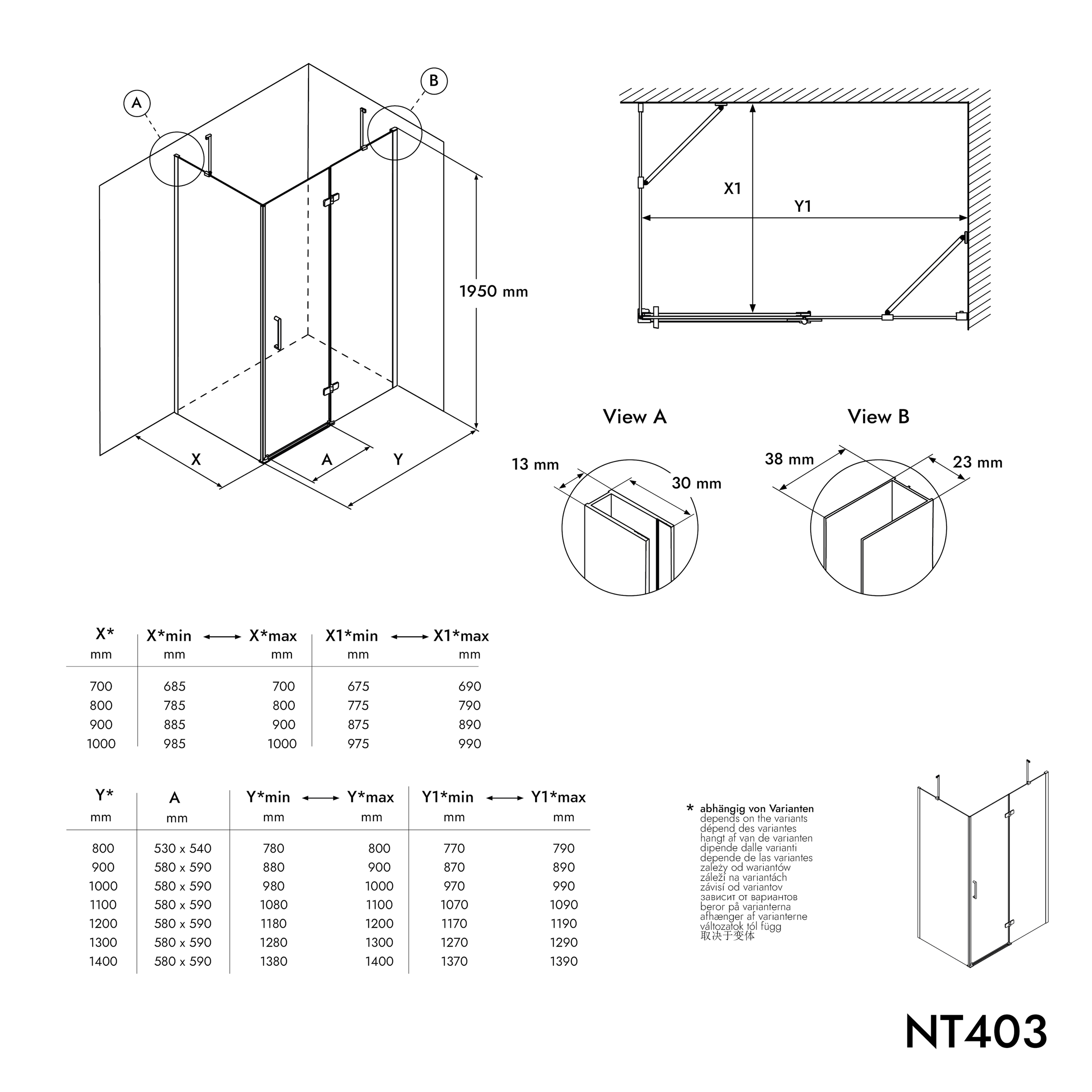 Corner shower with hinged door on fixed panel NT403