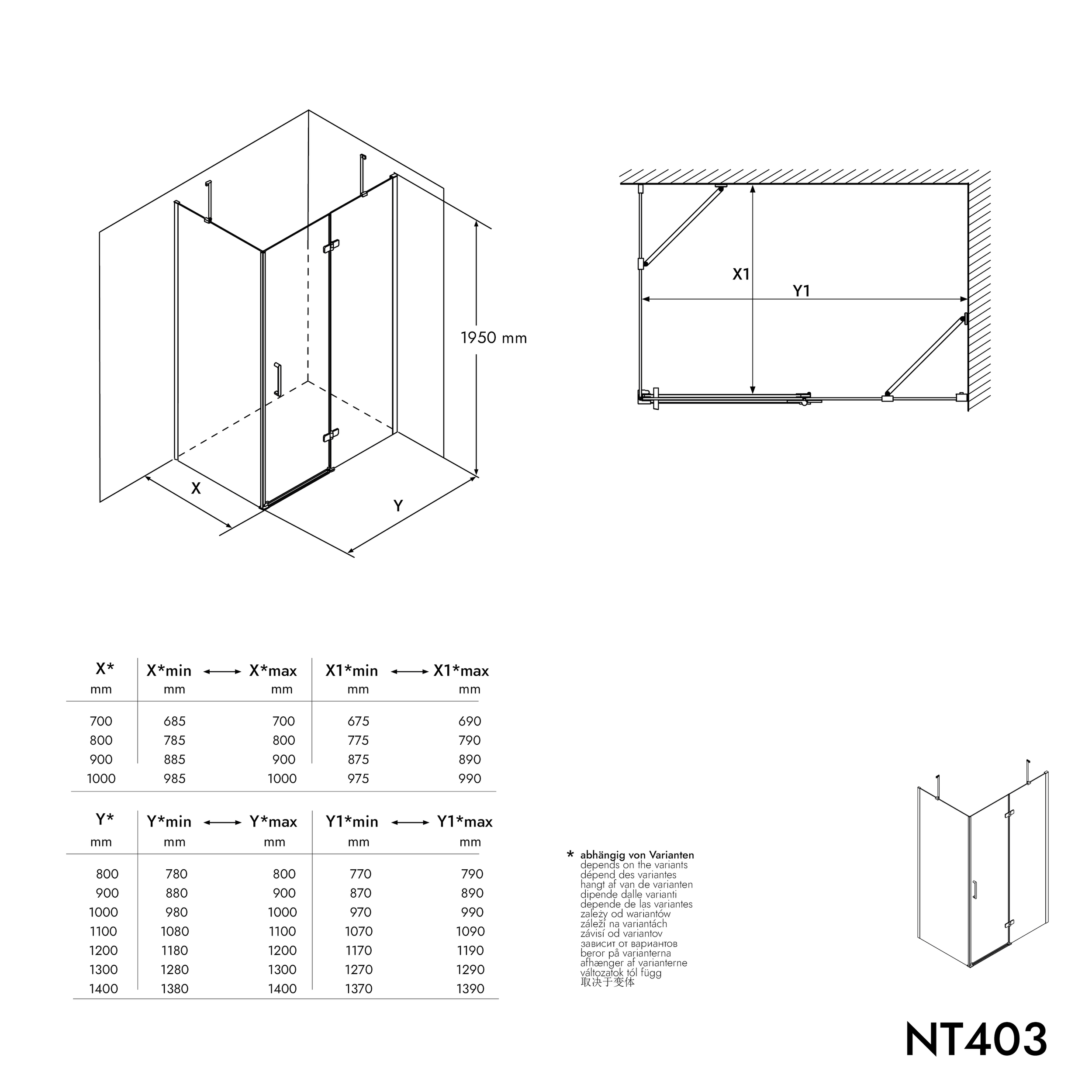 Corner shower with hinged door on fixed panel NT403