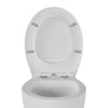 WC lid Softclose