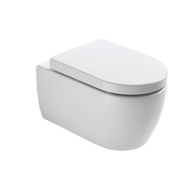 Wall-mounted toilets