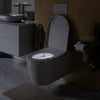 Duravit Soleil Shower Toilet